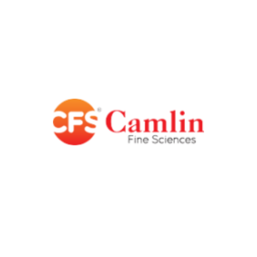 Camlin Fine Sciences